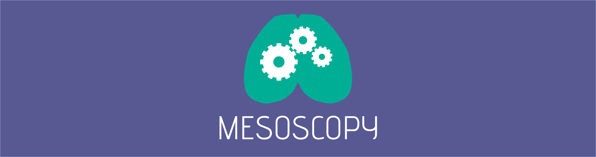 https://www.mesoscopy.org